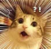 :cat_shocked: